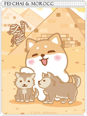 廢柴與沙漠之都卡片