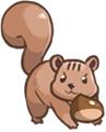 松鼠