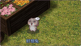 NPC:好想兔