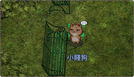 NPC:小賤狗