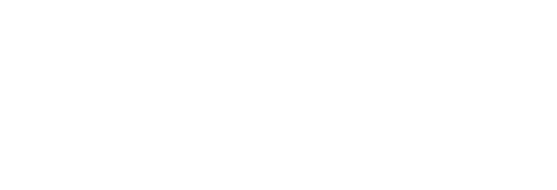 roNewYear