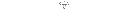 Primary mission